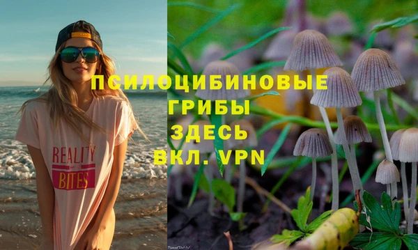 прущие крисы Алзамай