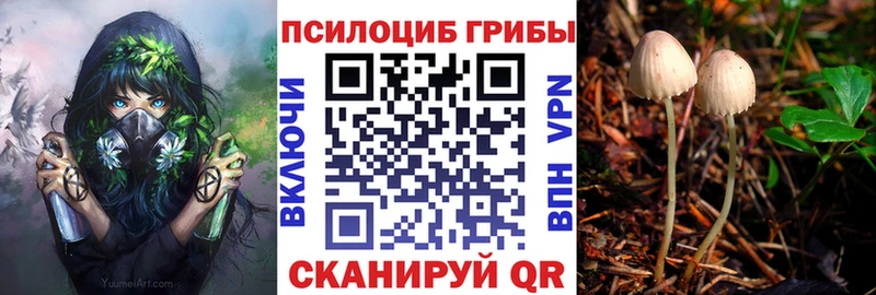 Псилоцибиновые грибы прущие грибы mega Стародуб